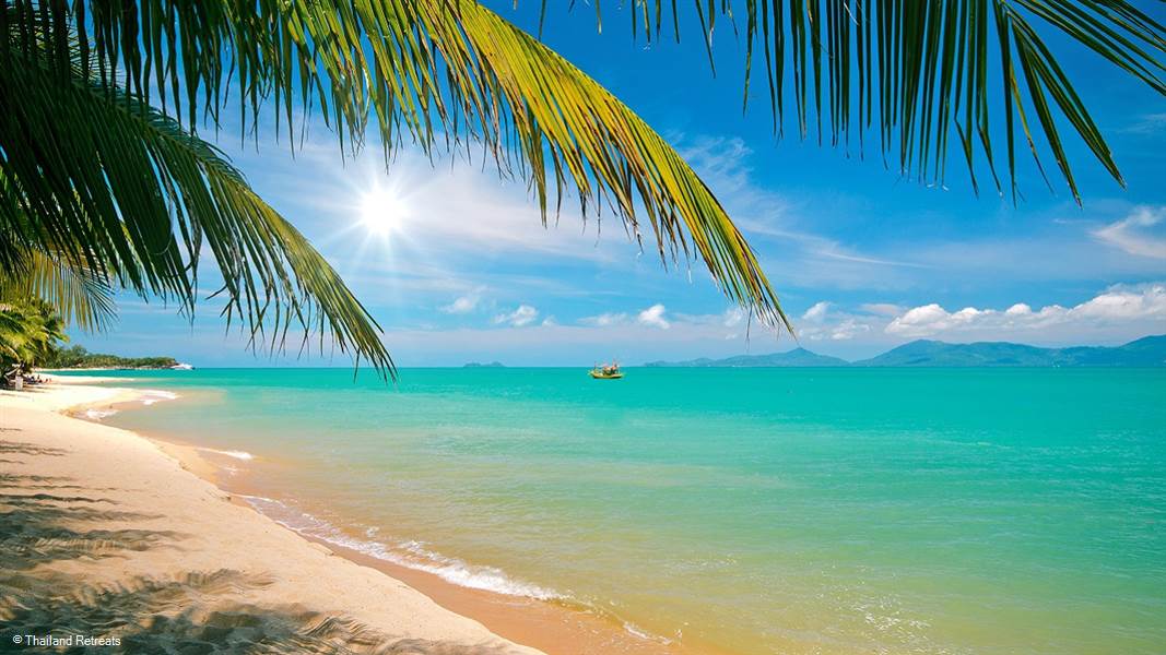 A List of some of the activities to do or places to visit in the beautiful island of Koh Phangan