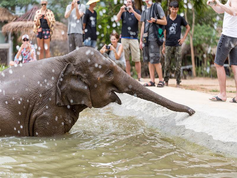 A choice of activities, trips and things to do whilst staying in your Koh Samui villa