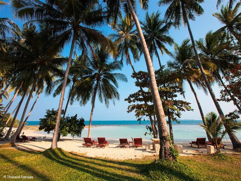 Private beach with sun loungers under the palms at Villa Kalyana, Laem Sor, Koh Samui Private beach with sun loungers under the palms at Villa Kalyana, Laem Sor, Koh Samui