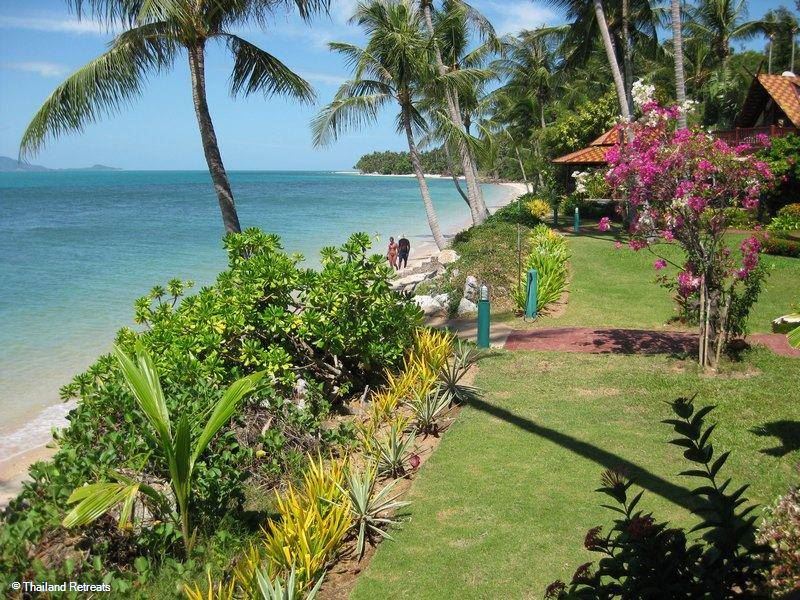 Bali Thai