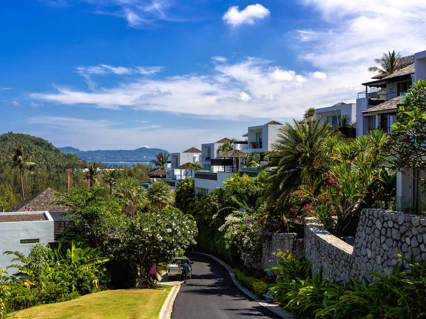 Napalai Master Image