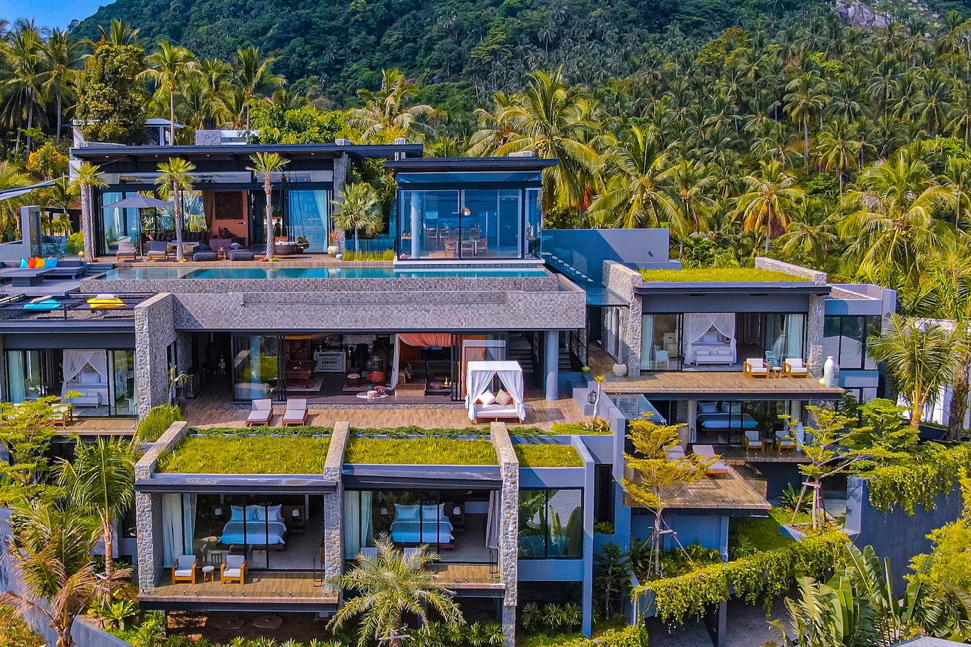 Keeree Tara Master Image